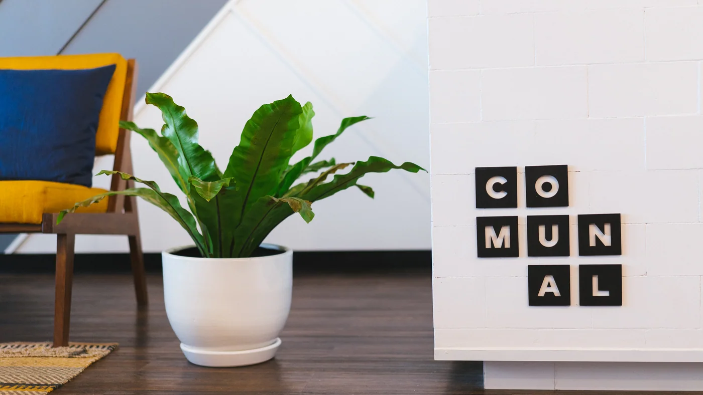 A plant in a coworking space, shown as a workplace reference