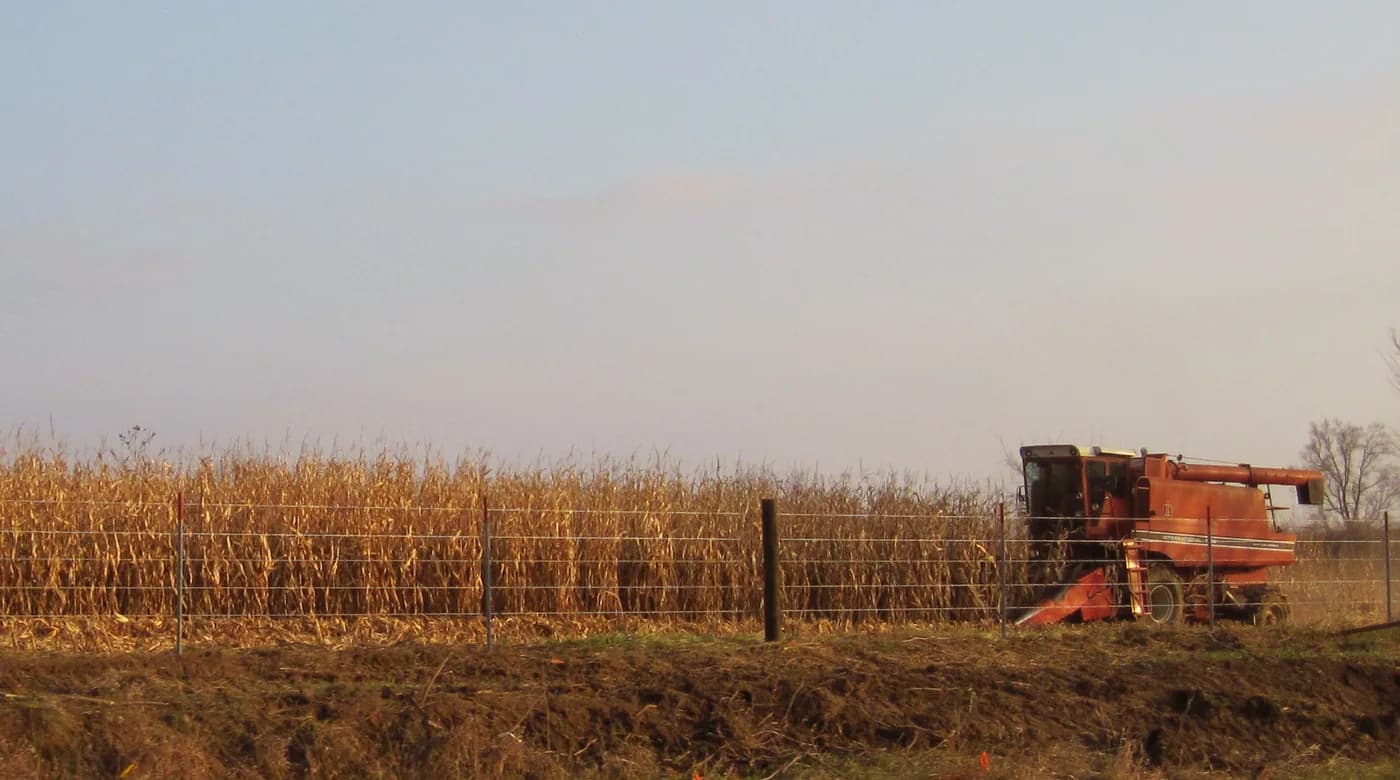 Archival reference photograph of a corn harvest in Iowa in 2009