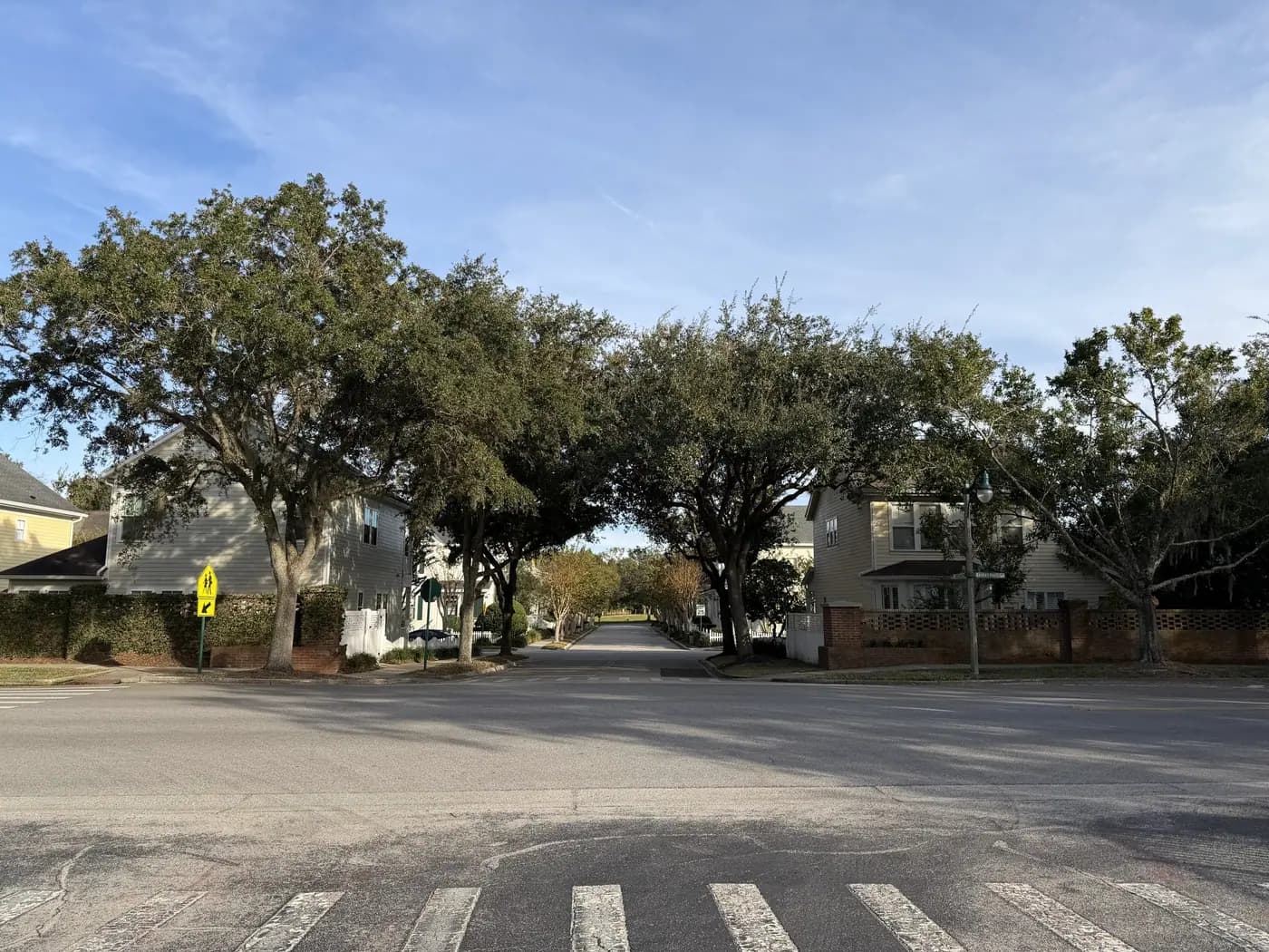 Residential street and tree canopy in Celebration, Florida
