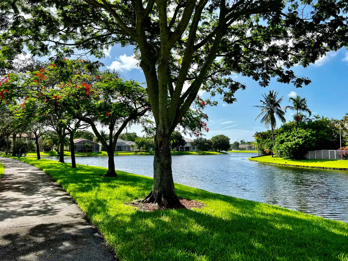 A residential street in Coconut Creek, Florida