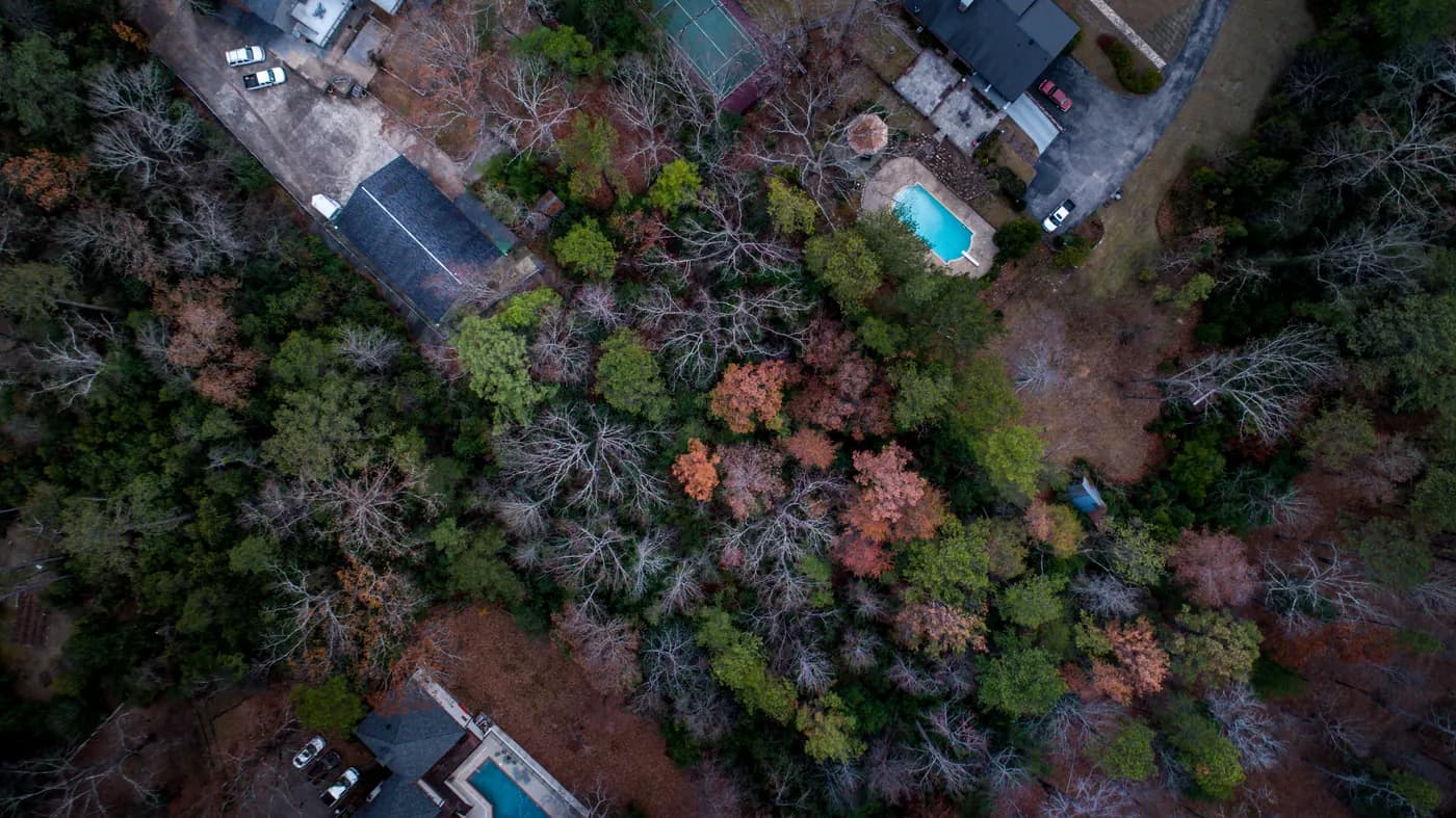 Suburban houses beside a forest, shown as a homeownership reference