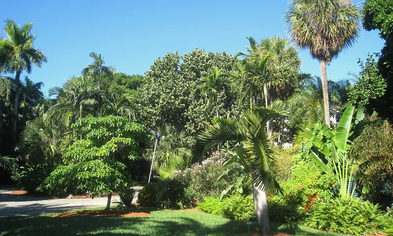 Césped y vegetación tropical en Miami Beach Botanical Garden