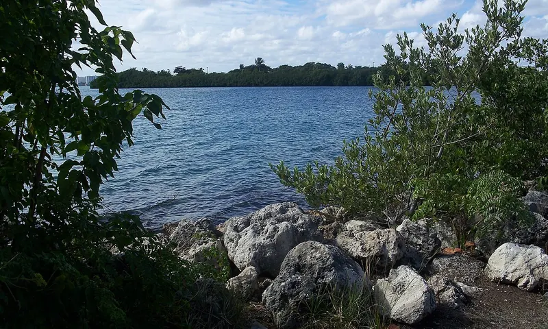 Frente al río Oleta rodeado de vegetación costera