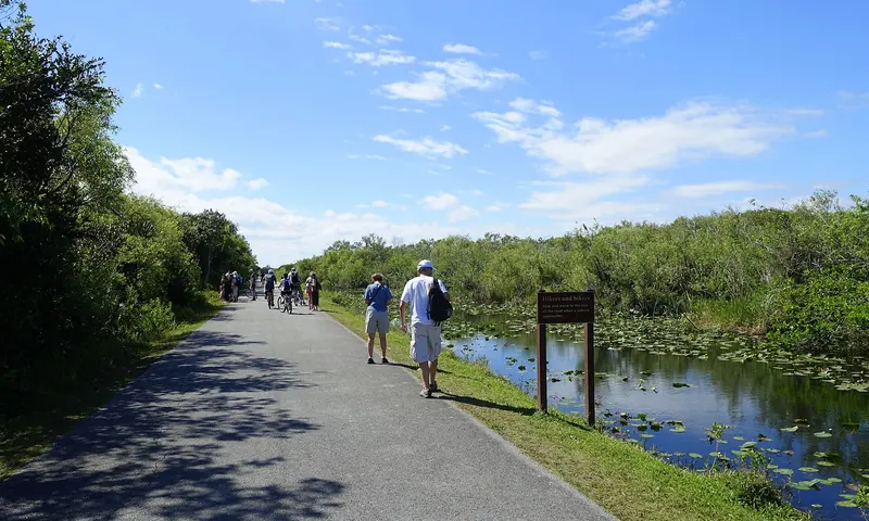 Shark Valley loop road junto a los humedales de los Everglades