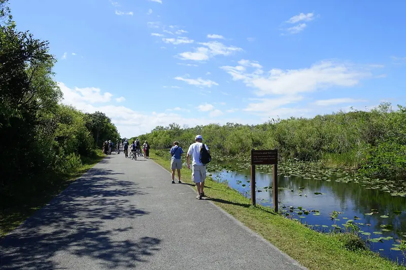 Shark Valley loop road beside Everglades wetlands